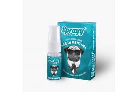 SPRAYY® Menthol für Zigaretten, Heets & GLO mit Geschmack SPRAYY® Fresh Menthol