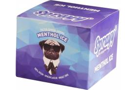 SPRAYY® ICE Spray für Menthol Zigaretten Ersatz in der VE 10x10ml